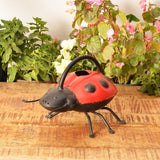 Ladybird  Watering Can